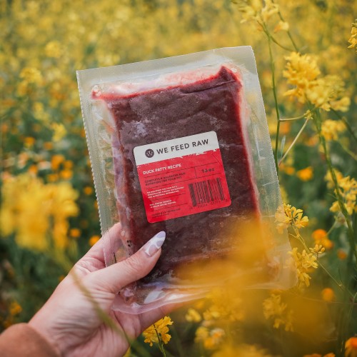 Affordable Raw Diet Plans for Dogs