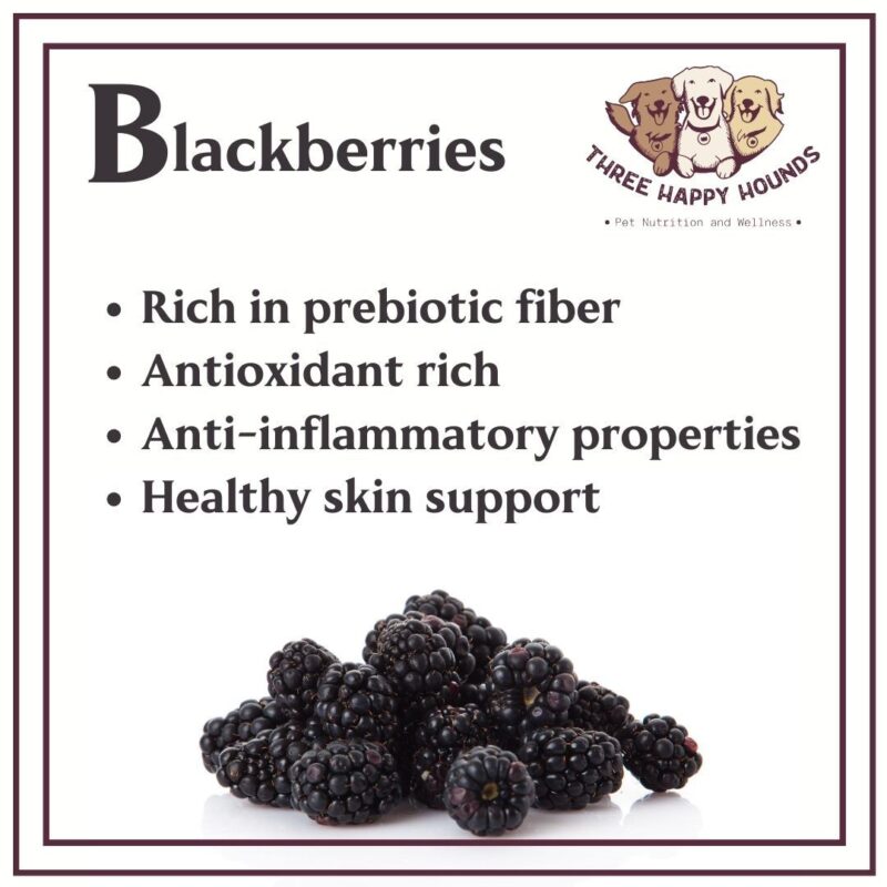 Benefits of Blackberries for Dogs