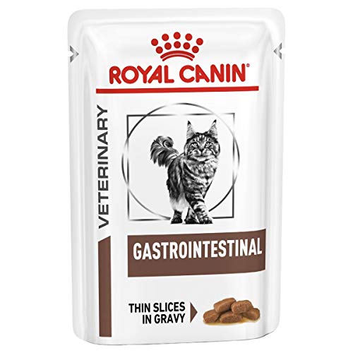 Best Canned Cat Food for Pancreatitis