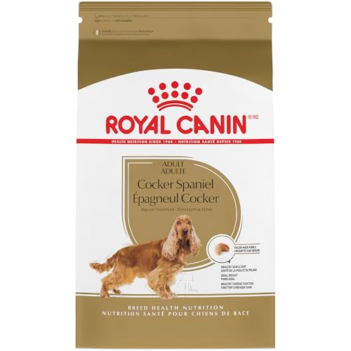Best Dog Food for Brittany Spaniels