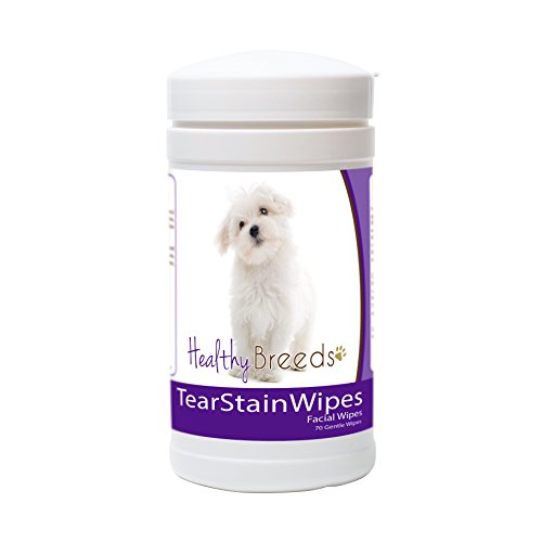 Best Dog Food for Maltese Tear Stains