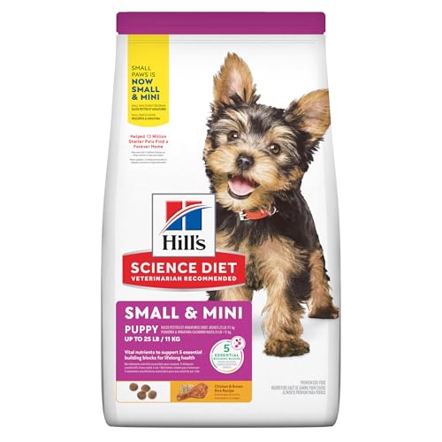 Best Dog Food for Mini Bernedoodle Puppy