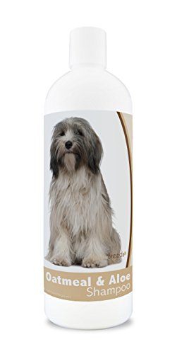 Best Dog Food for Tibetan Terriers