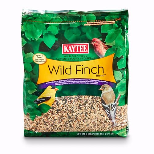 Best Finch Food
