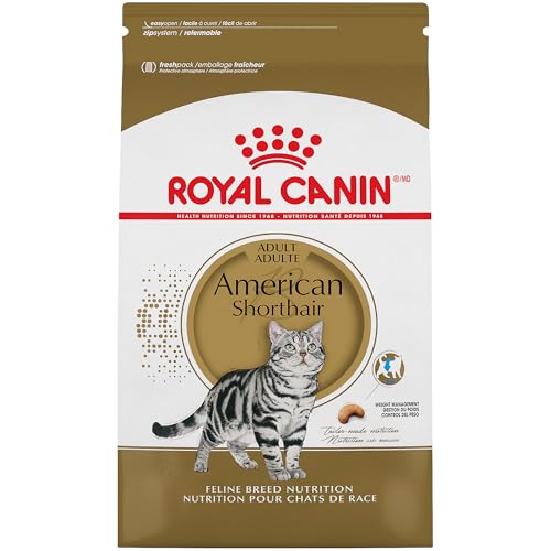 Best Food for Domestic Shorthair Cats