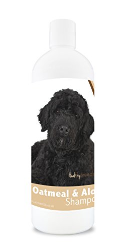 Best Food for Portuguese Water Dog