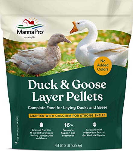 Best Goose Food