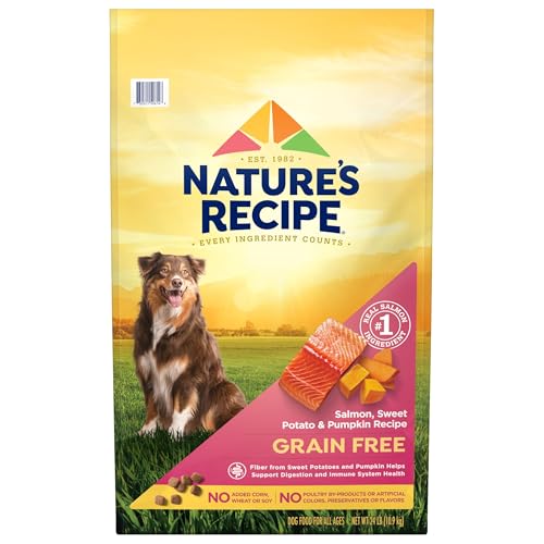 Best Grain Free Dog Food