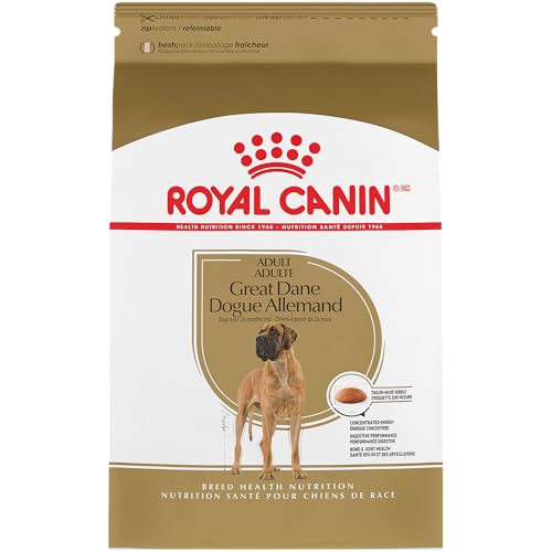 Best Great Dane Dog Food