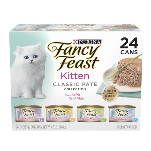 Best Kitten Food
