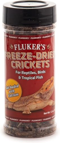 Best Lizard Food