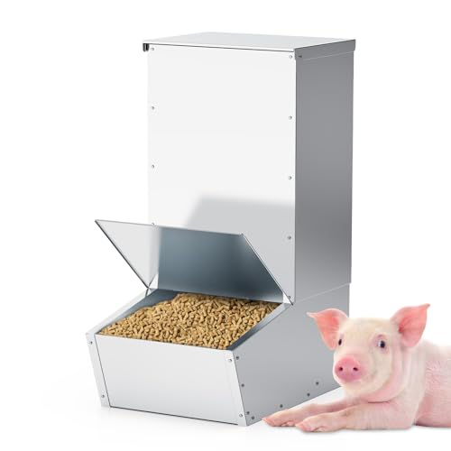 Best Pig Food