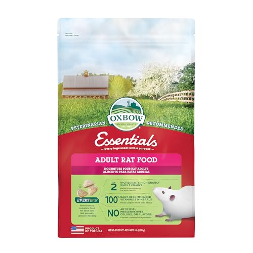 Best Rat Food