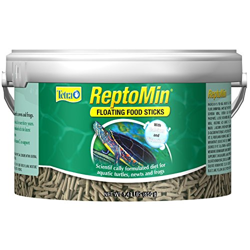 Best Reptile Food