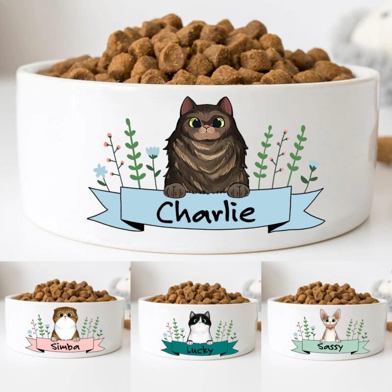 Custom Cat Food Bowls