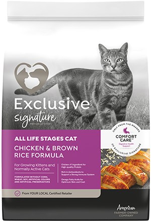 Exclusive Cat Food