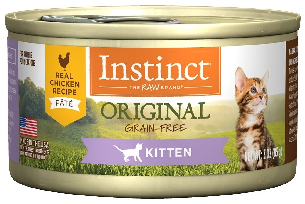 Free Cat Food Nyc