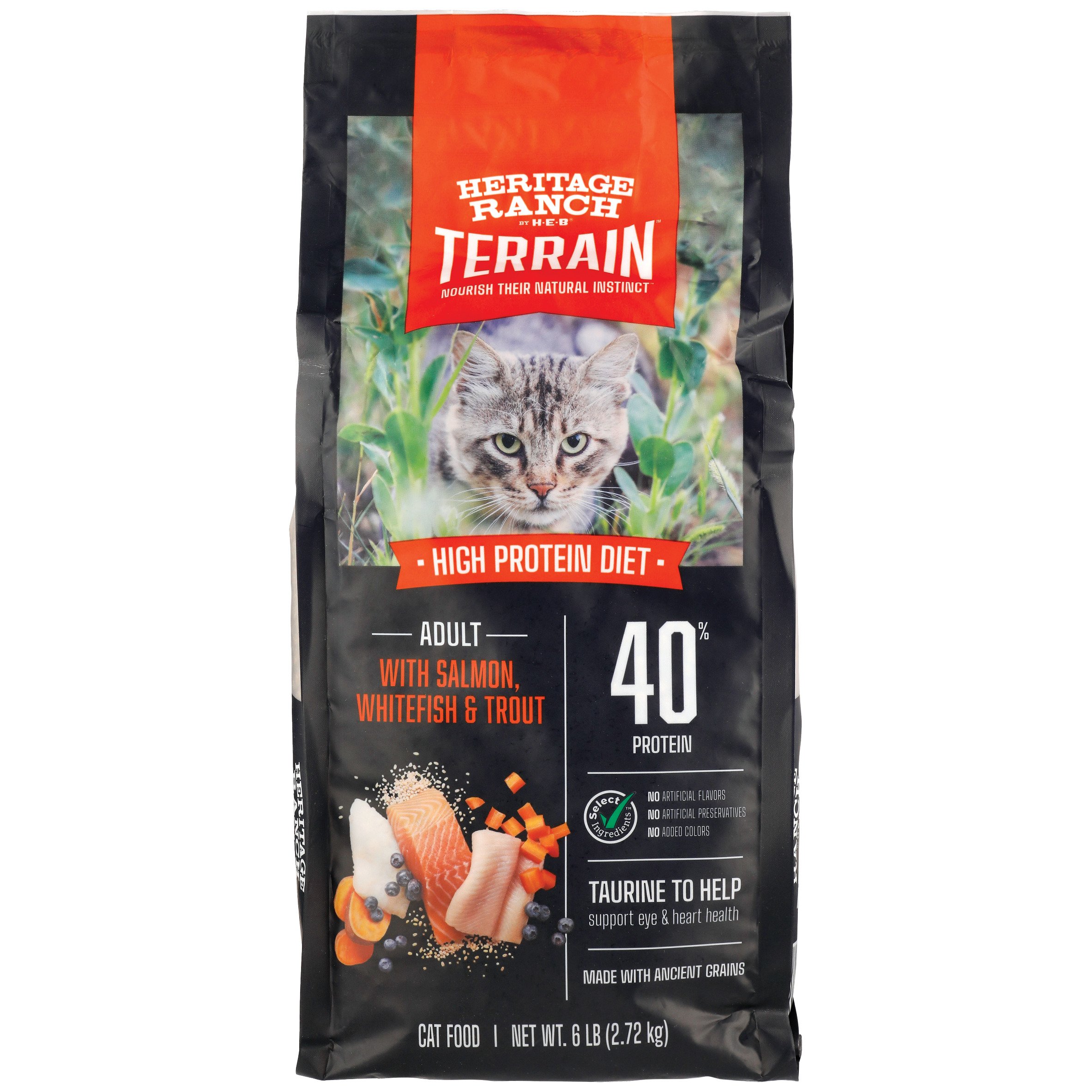 High-Protein Dry Cat Food