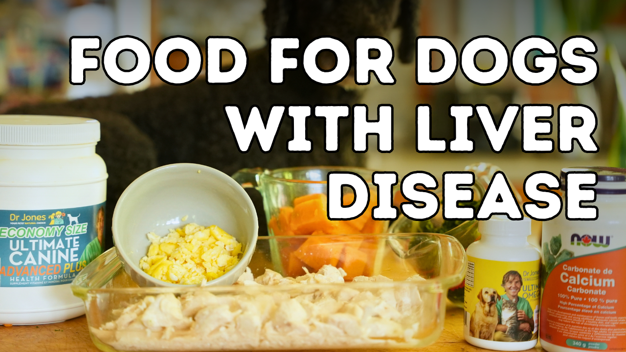 Homemade Dog Food for Dogs With Liver Disease