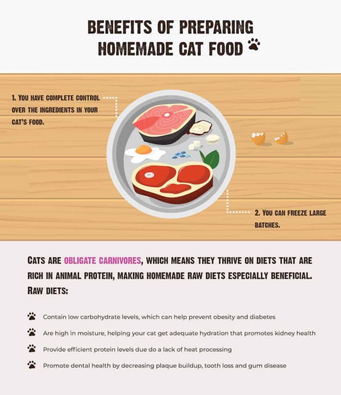 Homemade Raw Cat Food Recipes