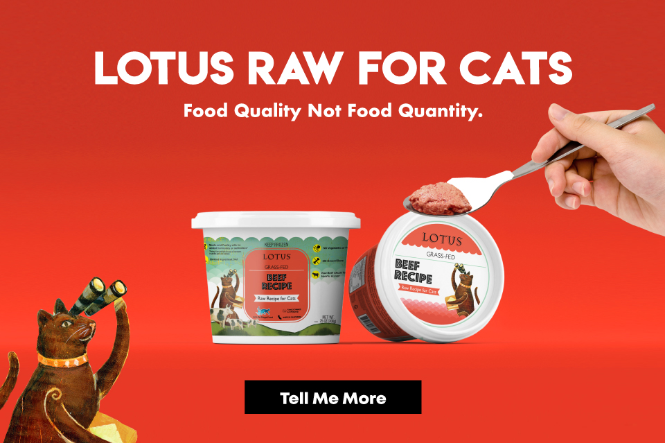 Lotus Raw Cat Food