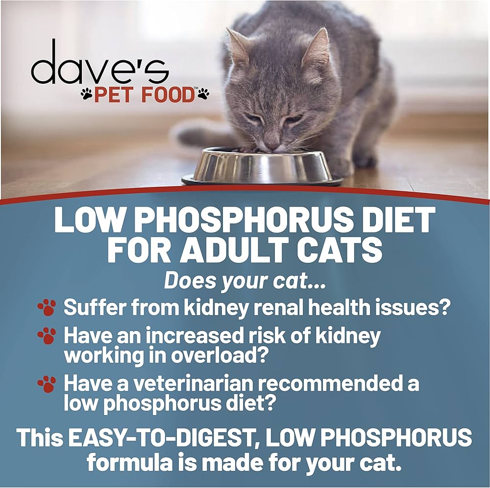 Non Prescription Low Phosphorus Wet Cat Food