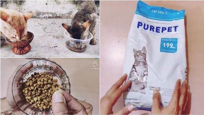 Purepet Cat Food Overview