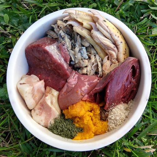 Raw Diet for Dogs