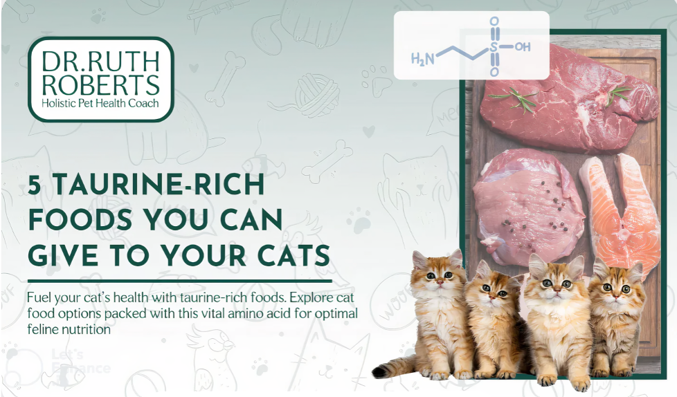 Taurine-Rich Cat Food Benefits