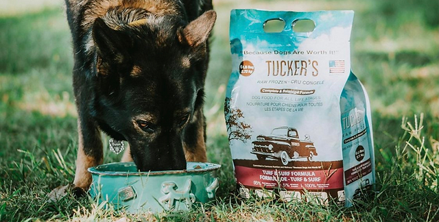 Tuckers Frozen Dog Food