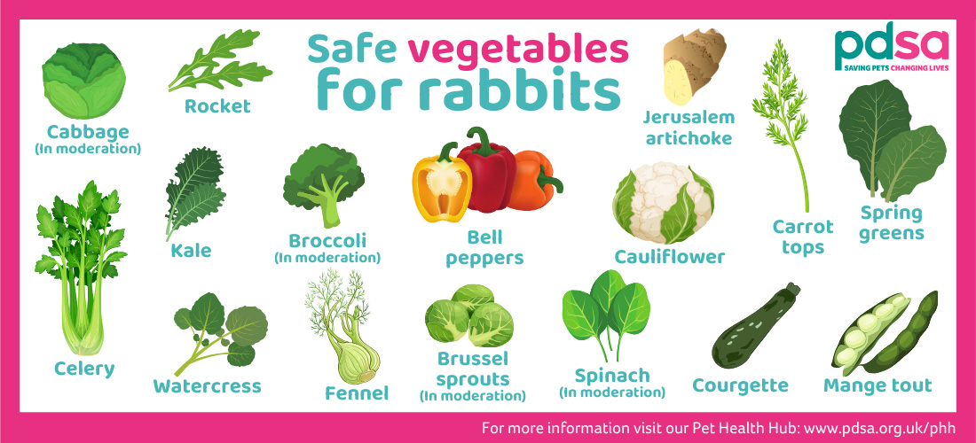 What Veggies Can Rabbits Eat