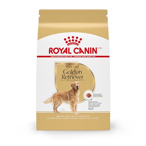 Best Dog Food for Golden Retriever With Allergies