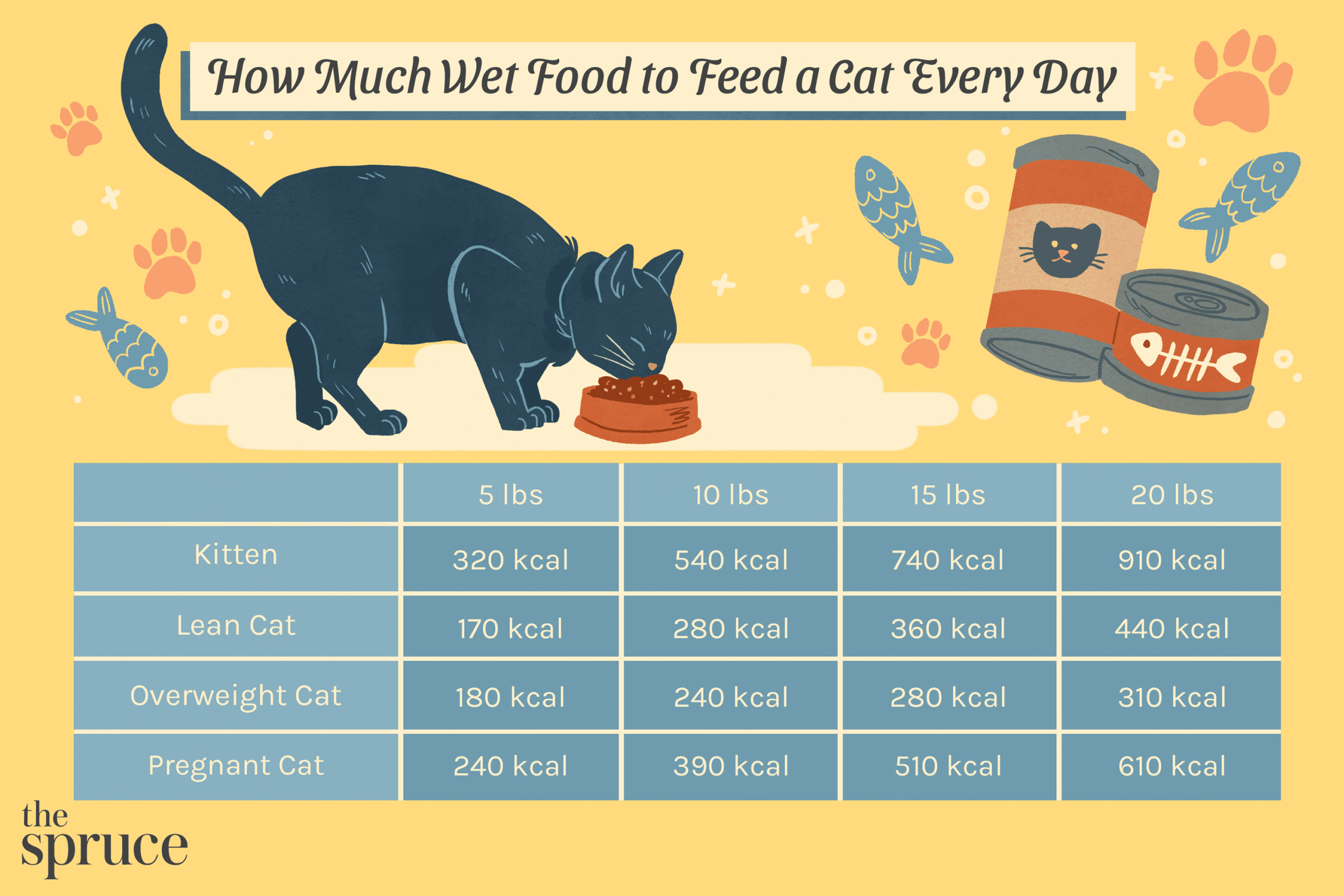 How Many Cans of Cat Food Per Day