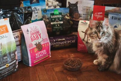 Affordable Cat Food for Multiple Cats