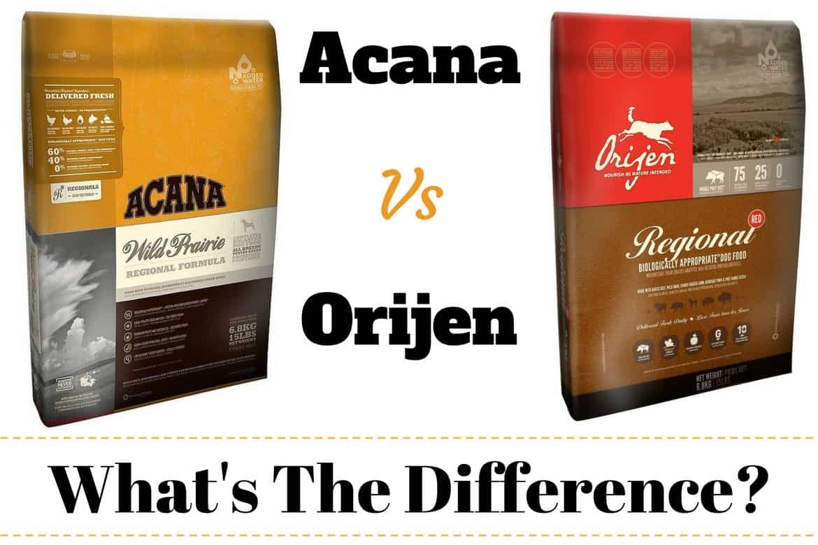 Orijen Vs Acana Dog Food