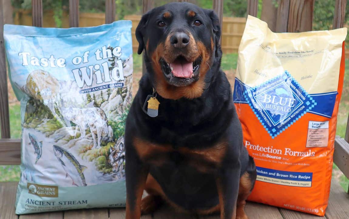 Taste Of The Wild Vs Blue Wilderness