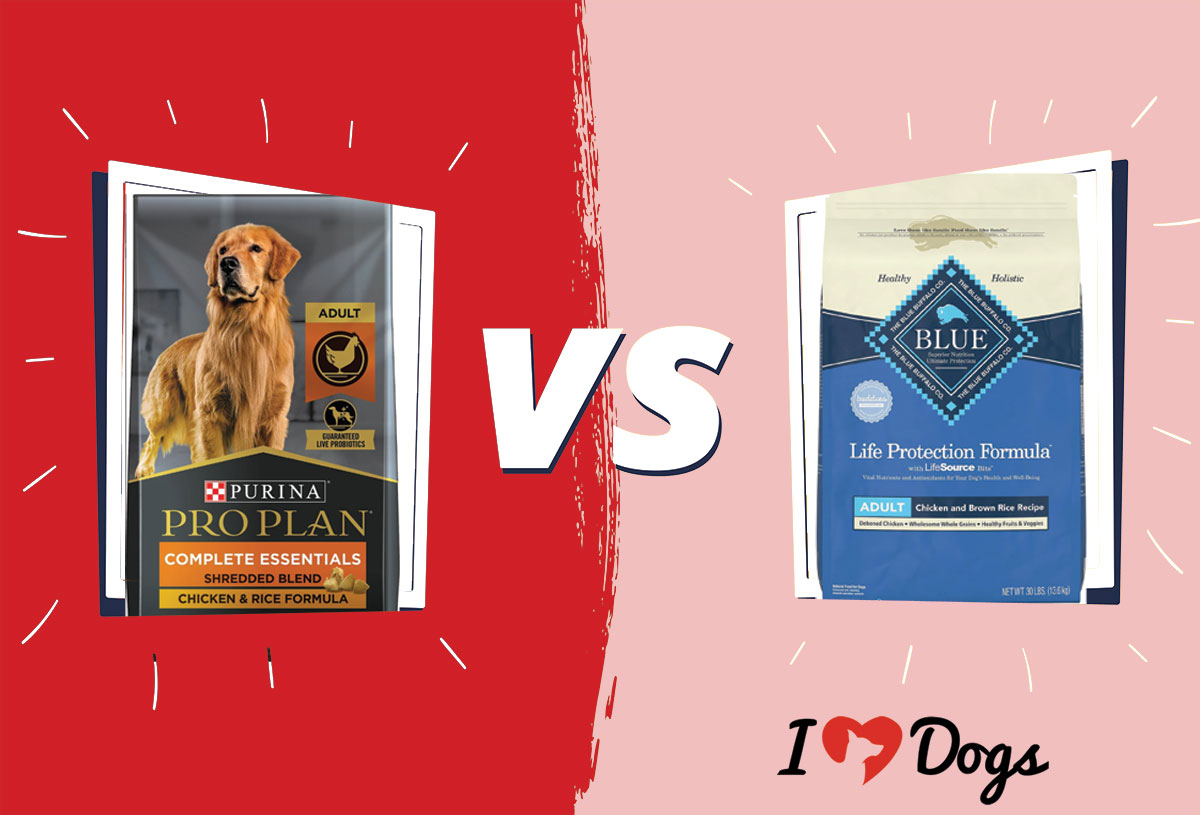 Purina Pro Plan Vs Blue Buffalo