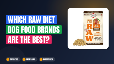 Which Raw Diet Dog Food Brands Are the Best? 2026